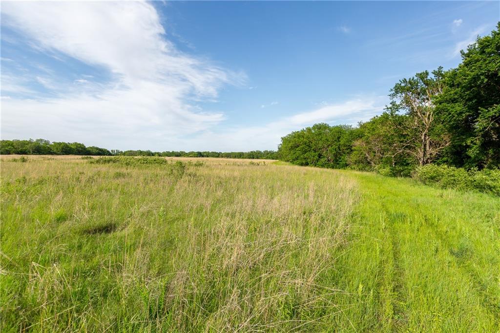 27699 South Hoch Road Osage City, KS 66523 - Photo 80 of 99