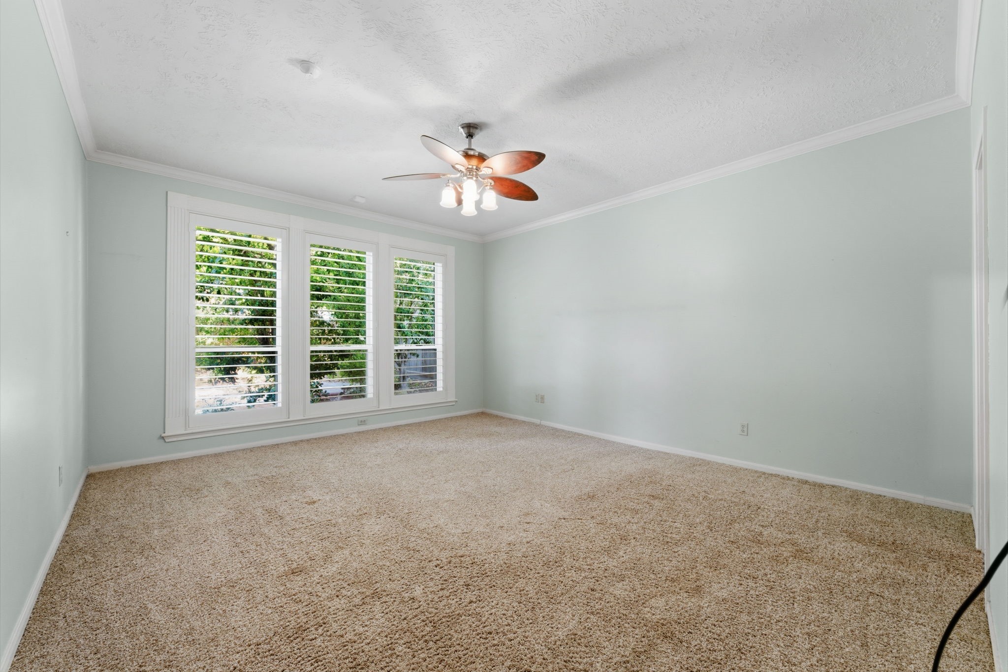 13807 Balmore Circle Houston, TX 77069 - Photo 14 of 30 an empty room with windows and ceiling fan