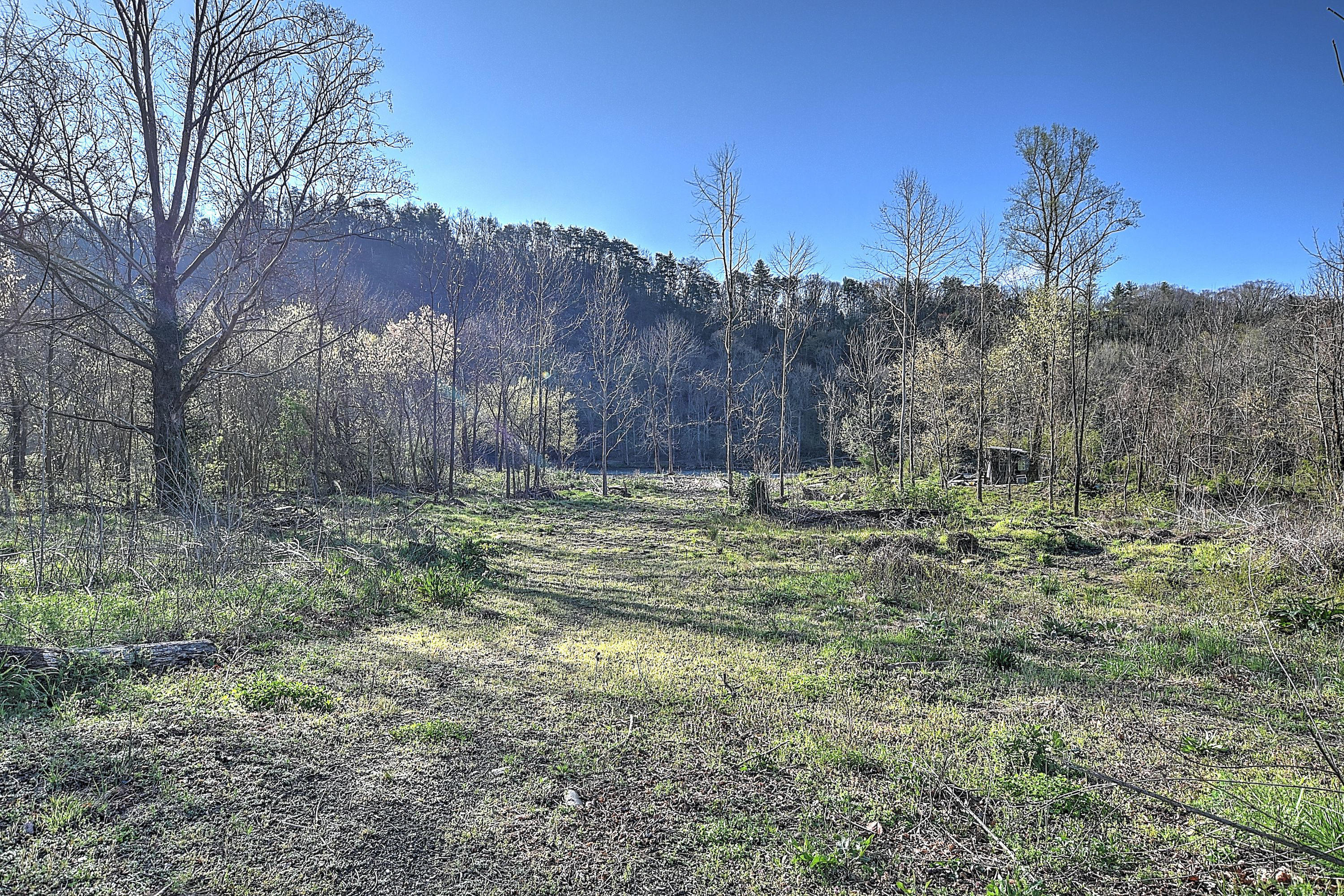 166 Bumpus Cove Road Erwin, TN 37650 - Photo 31 of 50 166 Bumpus Cove-31