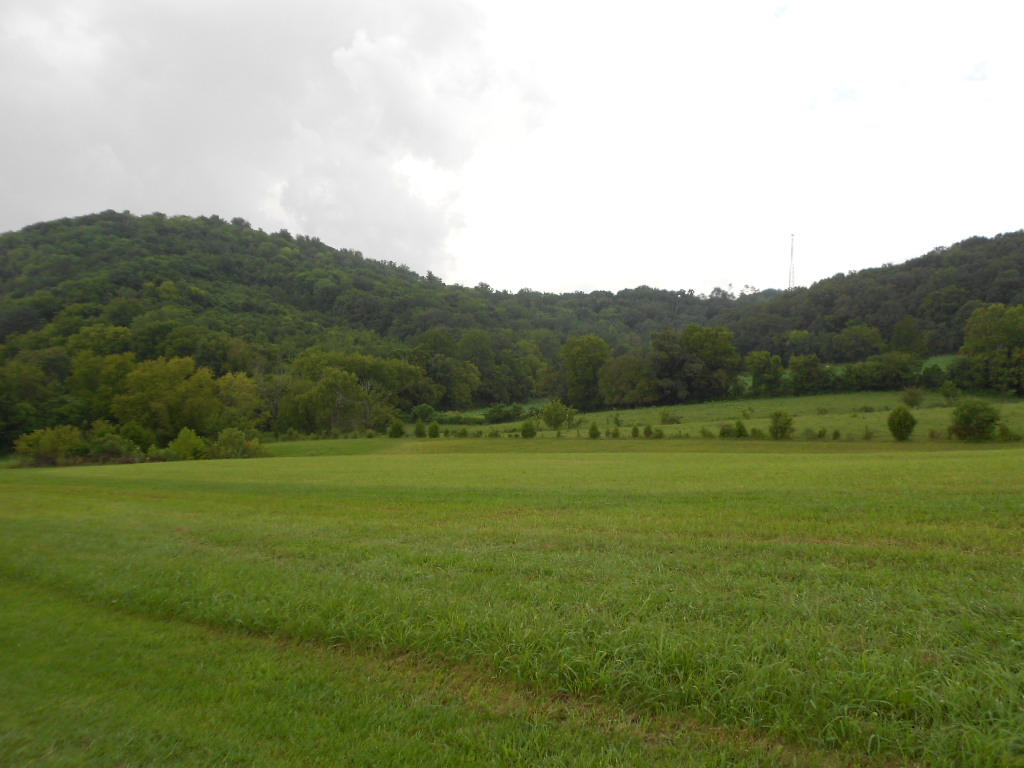 430 Coffey Heights Rutledge, TN 37861 - Photo 25 of 28 DSCN2989