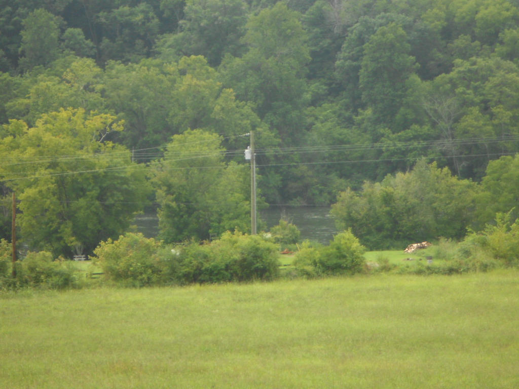 430 Coffey Heights Rutledge, TN 37861 - Photo 8 of 28 DSCN3002