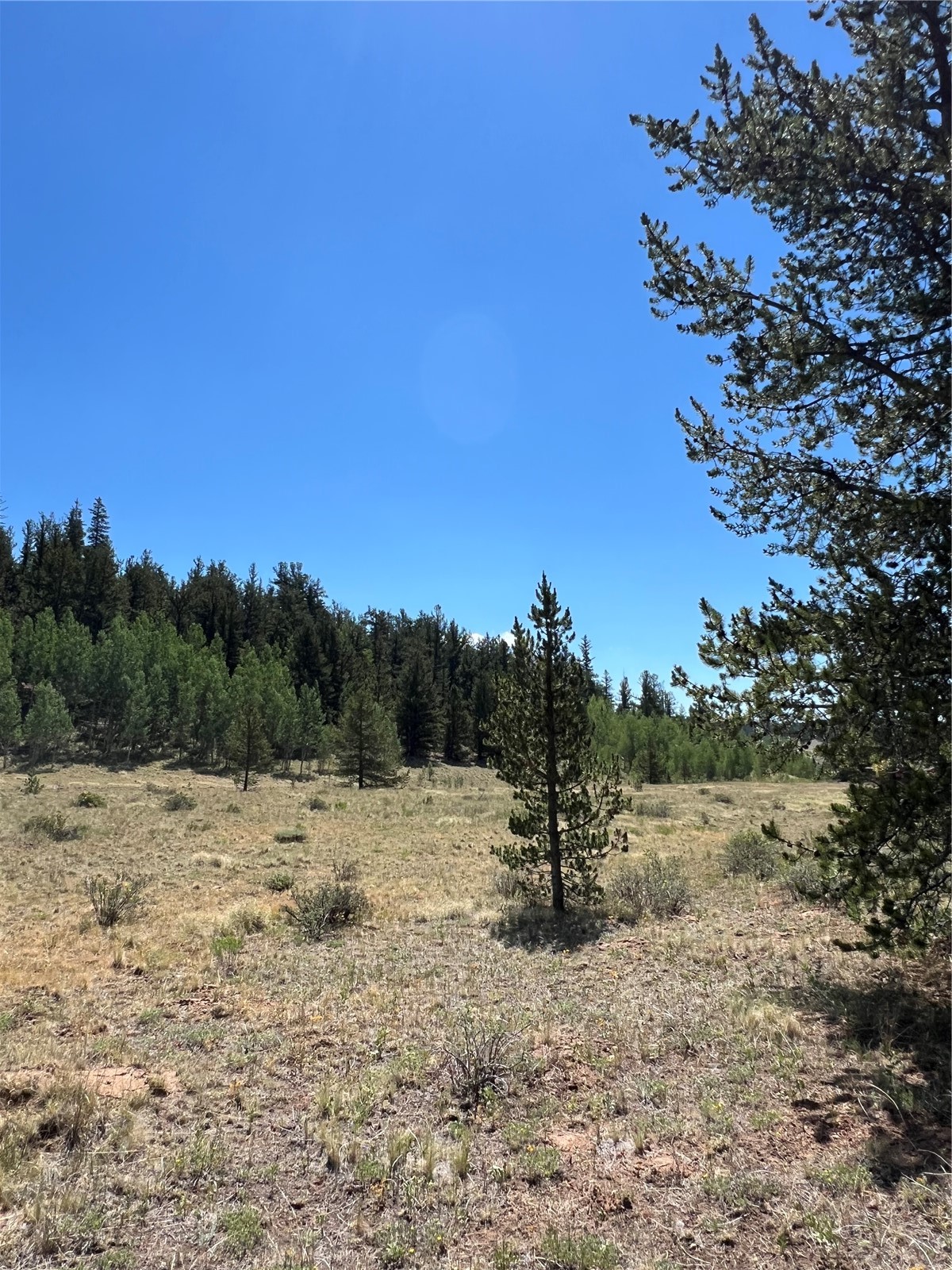 152 Co Road Fairplay, CO 80440 - Photo 18 of 20