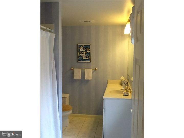 53 Crestline Road Wayne, PA 19087 - Photo 20 of 22 Bathroom