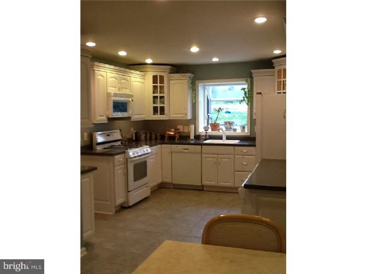 53 Crestline Road Wayne, PA 19087 - Photo 8 of 22 Kitchen