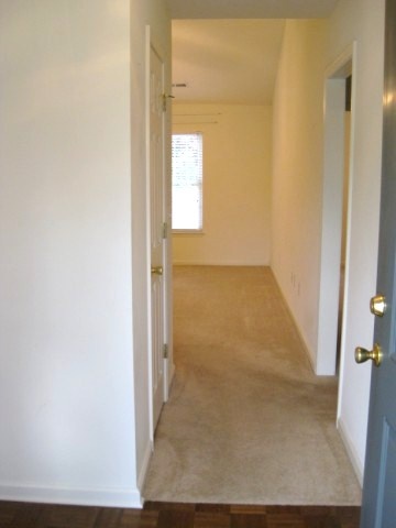 336 Springfield Circle Easley, SC 29642 - Photo 2 of 20 Gallery Image 2