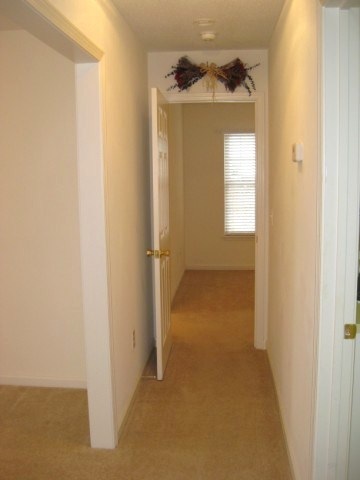336 Springfield Circle Easley, SC 29642 - Photo 12 of 20 Gallery Image 12