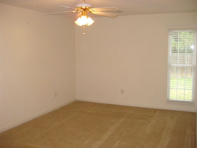 336 Springfield Circle Easley, SC 29642 - Photo 13 of 20 Gallery Image 13