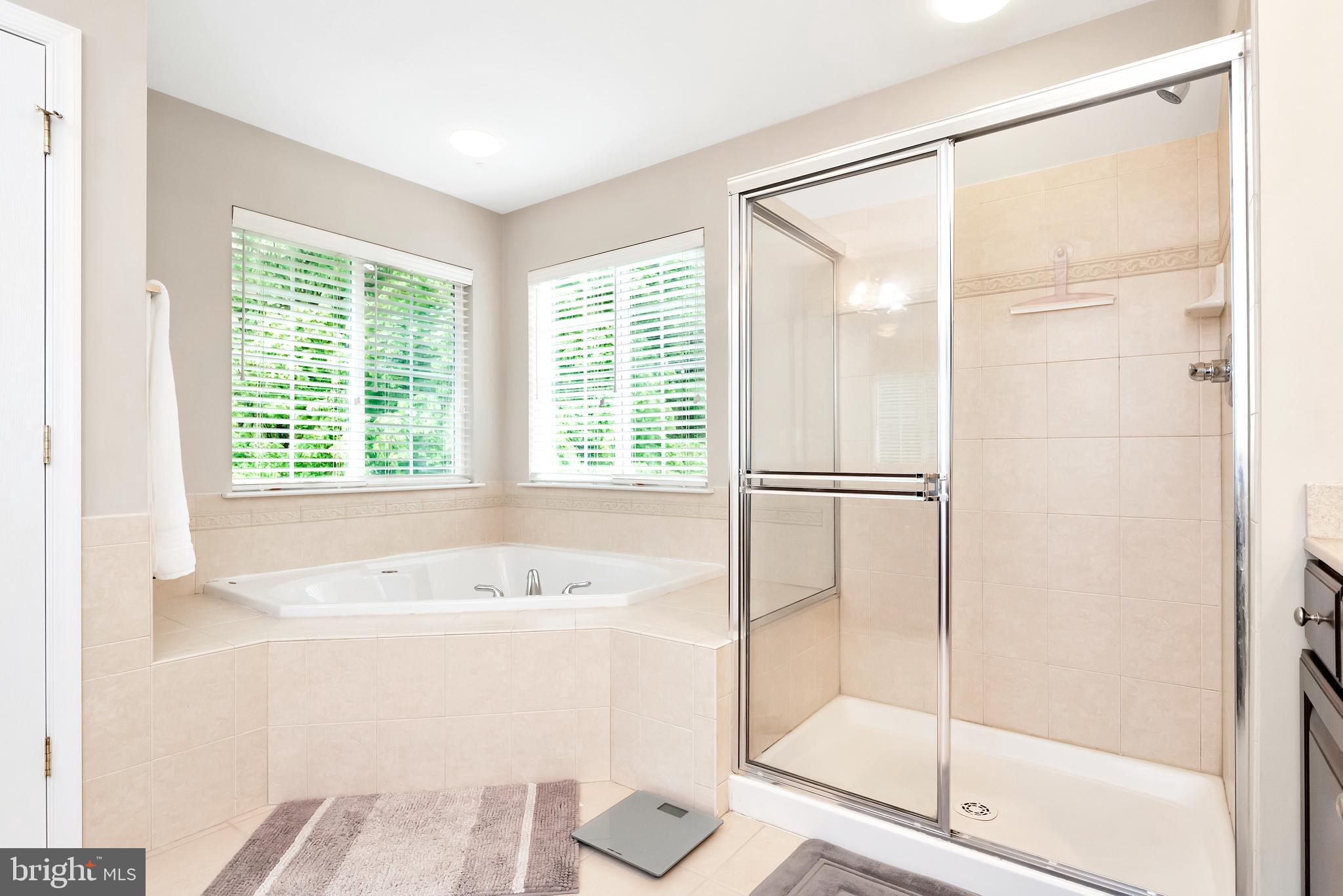 4950 Pale Morning Dun Road Elkridge, MD 21075 - Photo 40 of 70 Master Bath