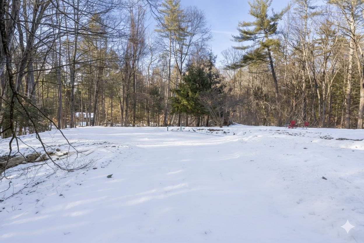 583 Burt Hill Road Winchester, NH 03470 - Photo 48 of 54