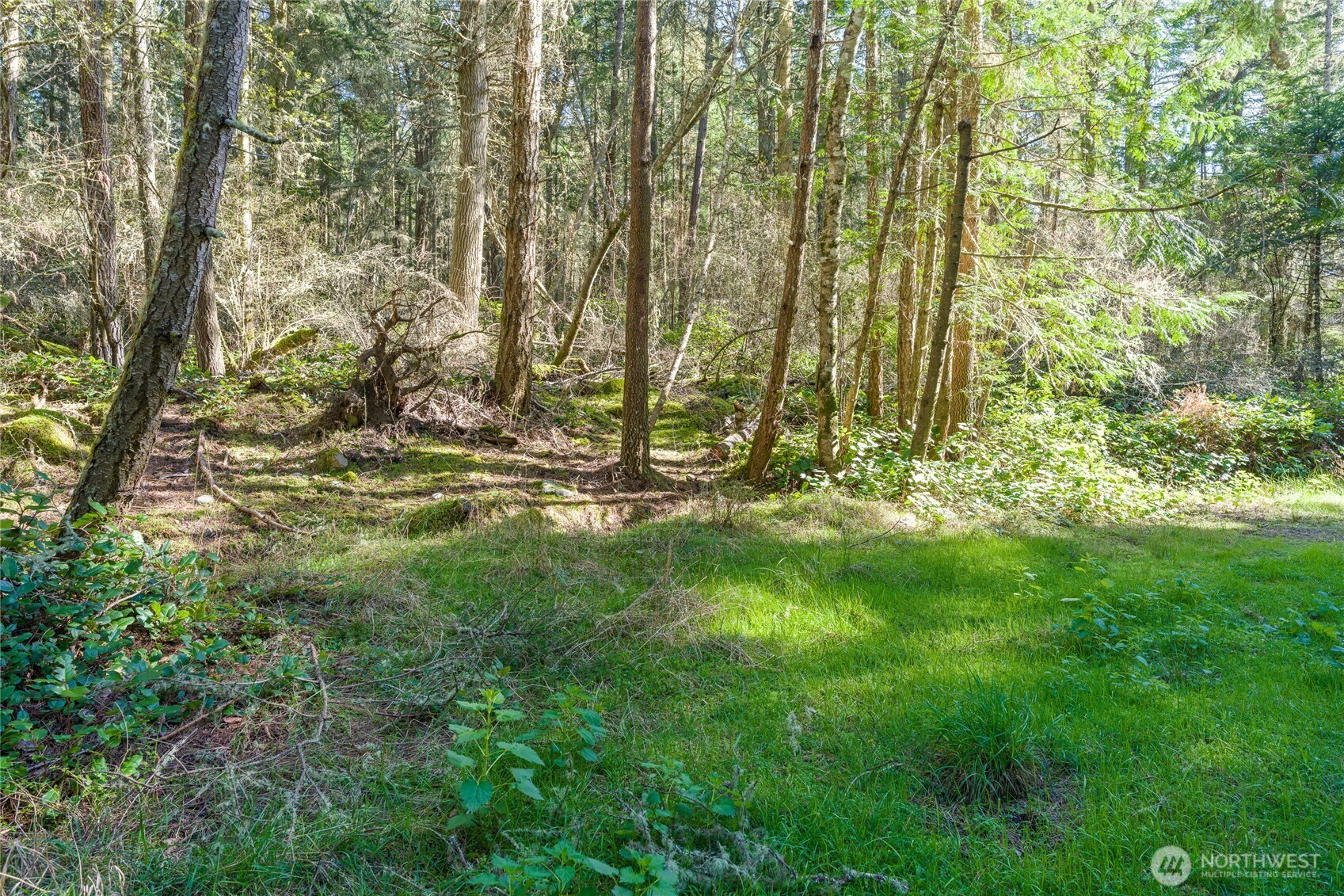 0 King's Point Road Lopez Island, WA 98261 - Photo 3 of 5