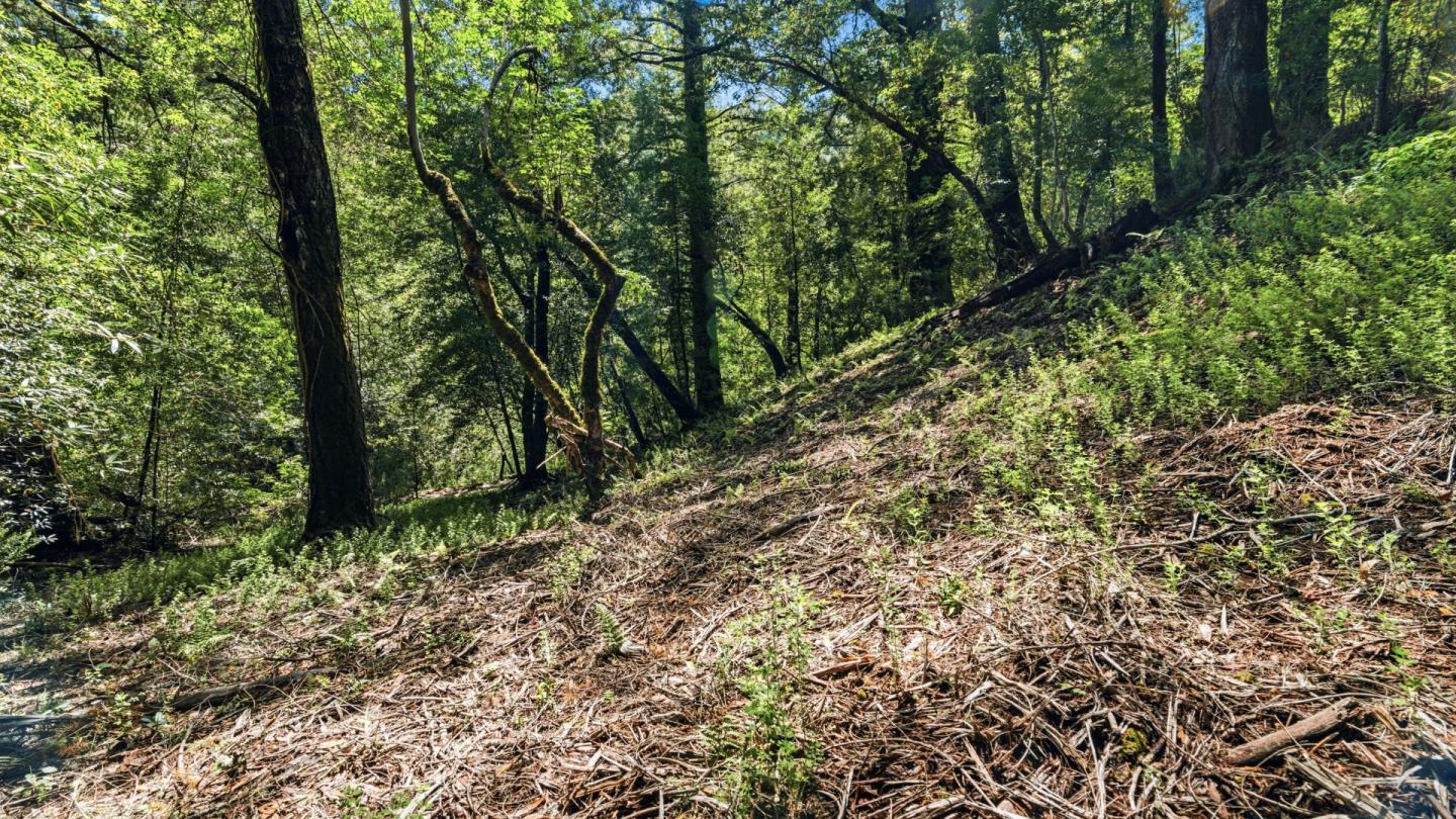 360 Rincon Way Boulder Creek, CA 95006 - Photo 10 of 46