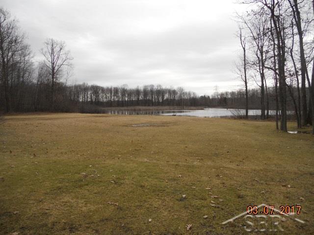 6855 Townline Road Birch Run, MI 48415 - Photo 18 of 19