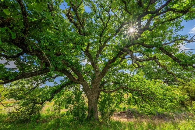 a view of a lake view