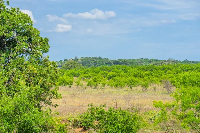 a view of a lake with a yard