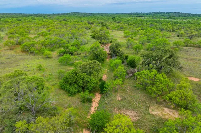 a view of a yard with plants