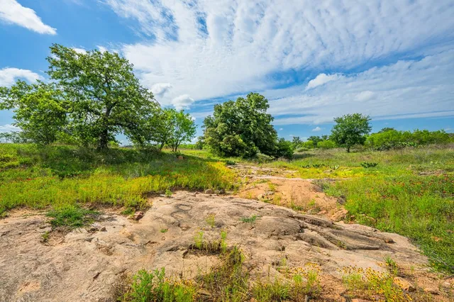 a view of a house with a lush green forest