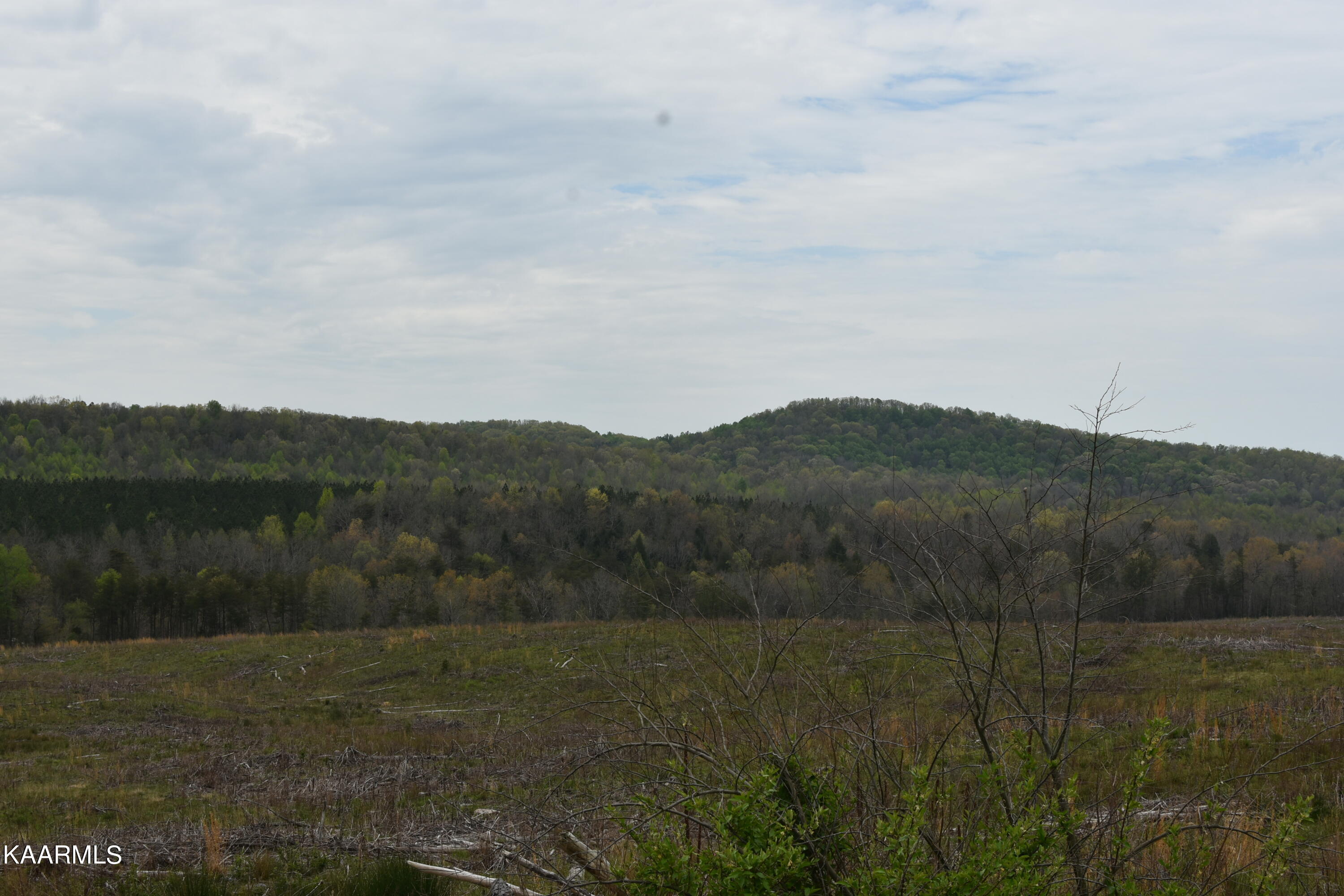 Lowe Road Crossville, TN 38572 - Photo 9 of 27 DSC_9072