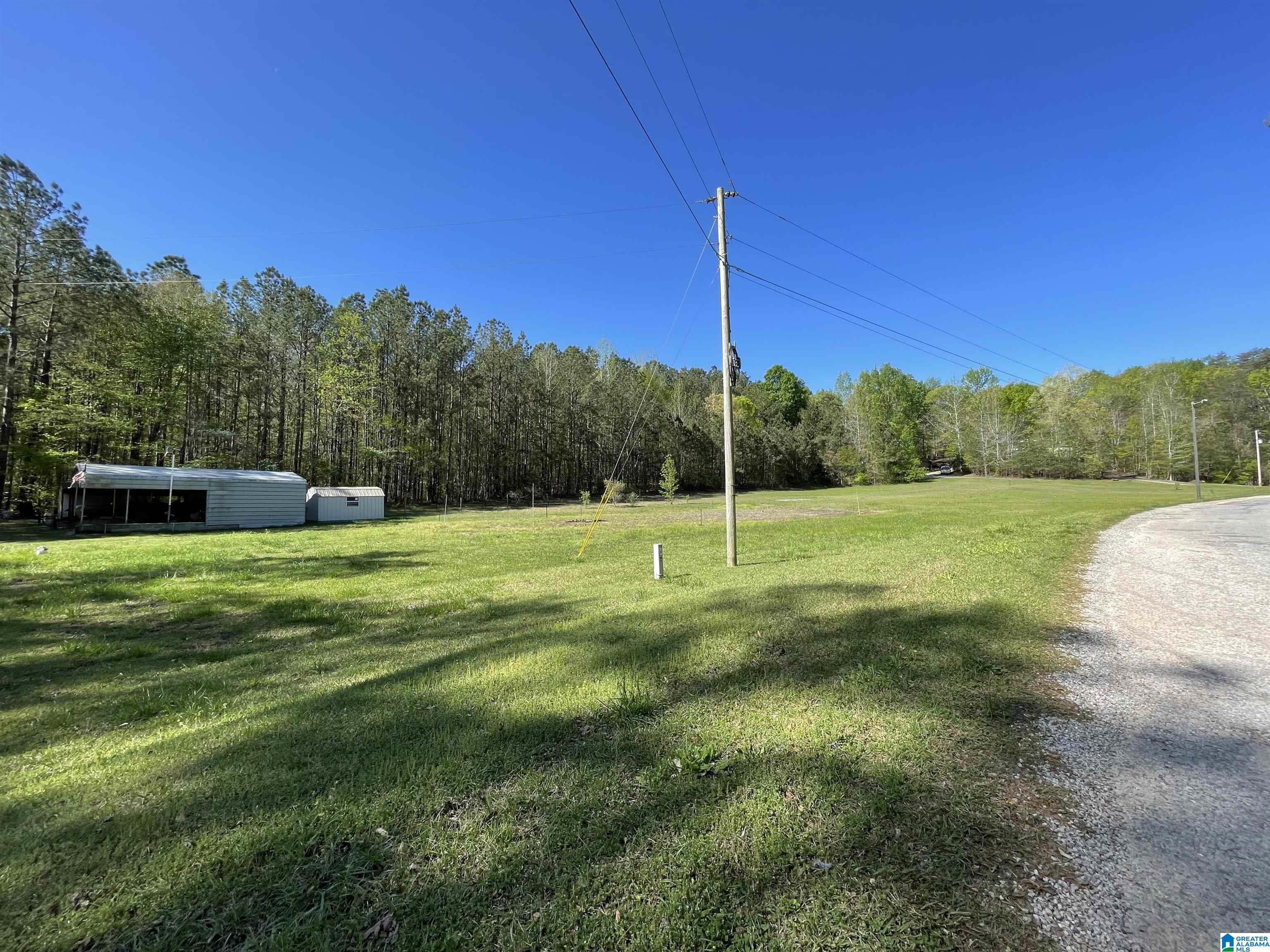 190 County Road 170, Unit 1 Jemison, AL 35085 - Photo 3 of 14