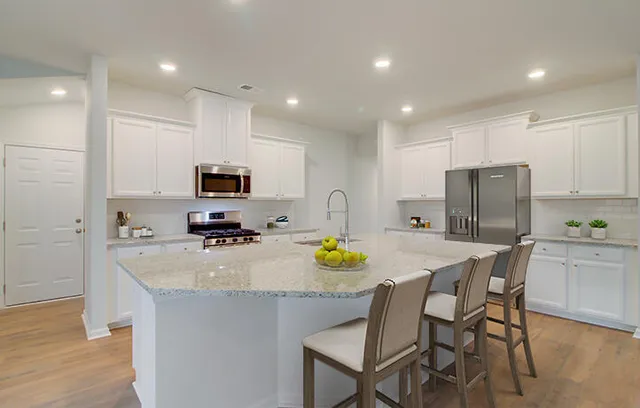 $480,720 | 1022 Red Turnstone Run, Summerville, SC 29485