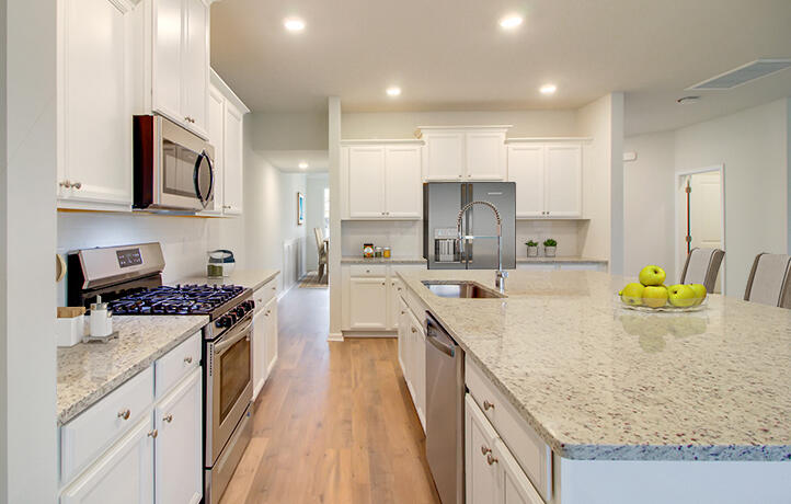 1022 Red Turnstone Run Summerville, SC 29485 - Photo 8 of 16 Kitchen2