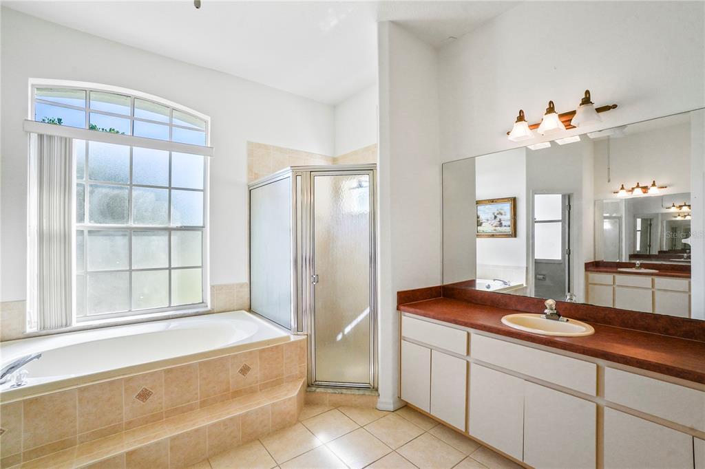 3441 Cedar Crest Loop Spring Hill, FL 34609 - Photo 31 of 58 a spacious bathroom with a tub sink and mirror