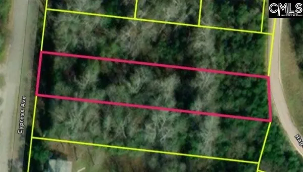 $12,500 | 0 Cypress Avenue, Denmark, SC 29042