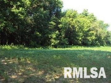 0 Th Belle Rive, IL 62810 - Photo 1 of 14