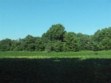 0 Th Belle Rive, IL 62810 - Photo 11 of 14