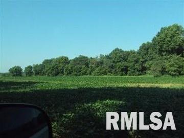 0 Th Belle Rive, IL 62810 - Photo 12 of 14