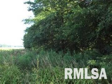 0 Th Belle Rive, IL 62810 - Photo 13 of 14