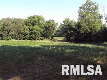 0 Th Belle Rive, IL 62810 - Photo 2 of 14