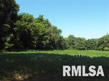 0 Th Belle Rive, IL 62810 - Photo 3 of 14