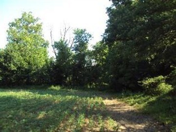 0 Th Belle Rive, IL 62810 - Photo 4 of 14