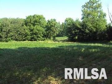 0 Th Belle Rive, IL 62810 - Photo 5 of 14