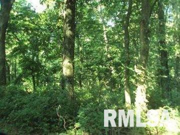 0 Th Belle Rive, IL 62810 - Photo 10 of 14