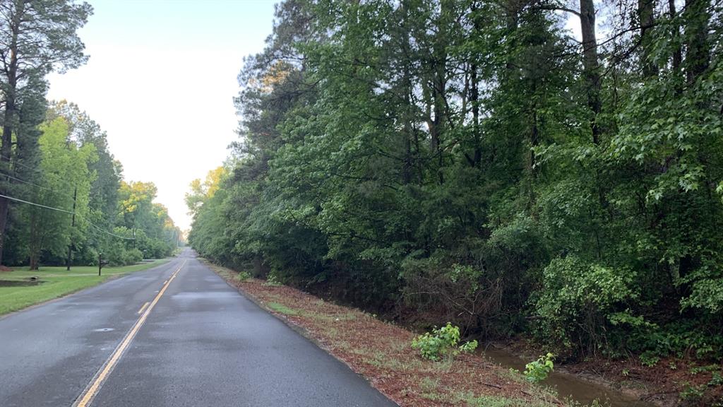10040 Cook Road Bethany, LA 71007 - Photo 2 of 8 a view of city street with a trees all around