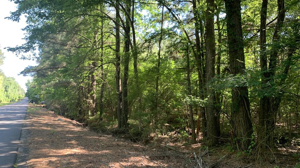 10040 Cook Road Bethany, LA 71007 - Photo 3 of 8 a view of a forest with trees