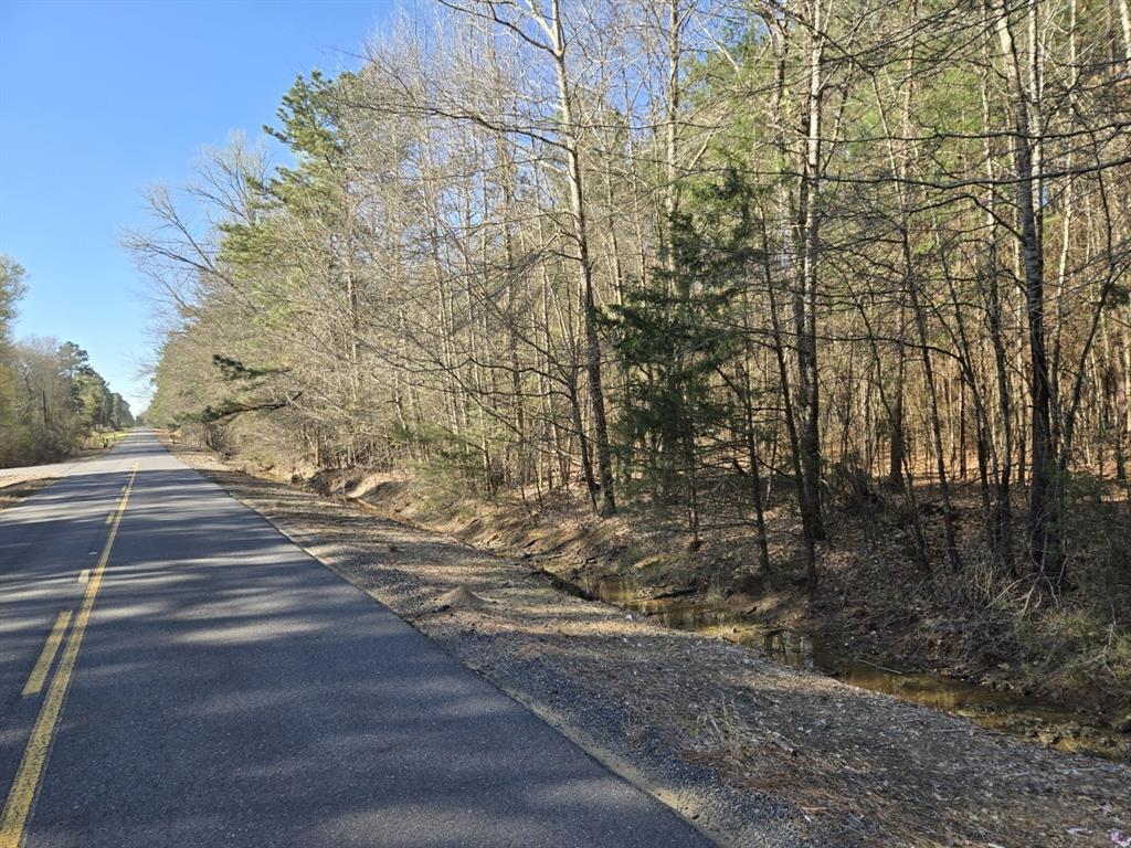 10040 Cook Road Bethany, LA 71007 - Photo 4 of 8 a view of a yard with large trees