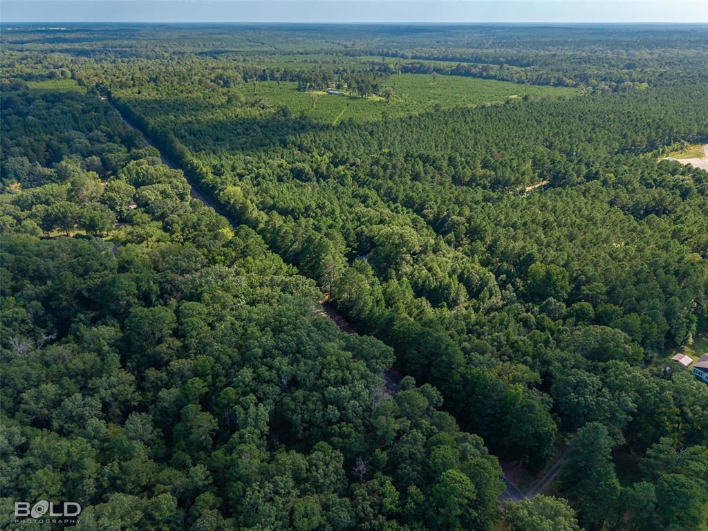 10040 Cook Road Bethany, LA 71007 - Photo 7 of 8 an aerial view of a lush green valley