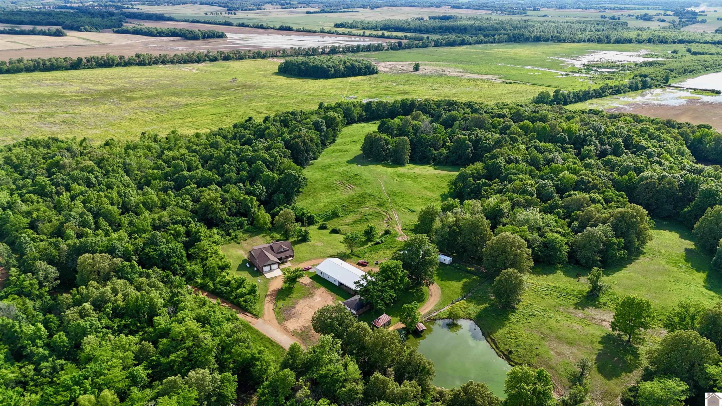 1300 Rocky Road Fancy Farm, KY 42039 - Photo 9 of 41 Photo 9