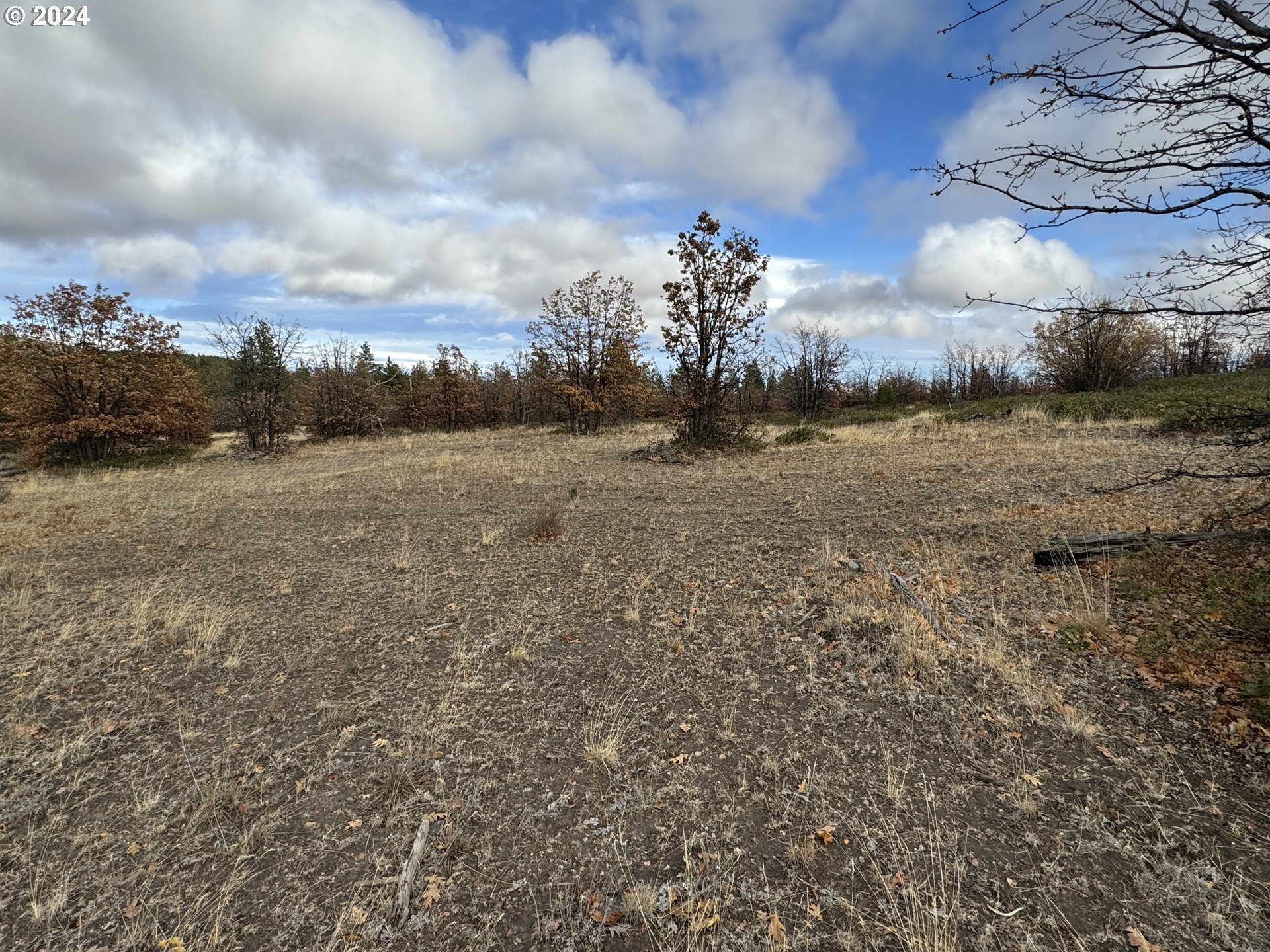 Luther Road Roosevelt, WA 99356 - Photo 11 of 34 Gallery Image 11