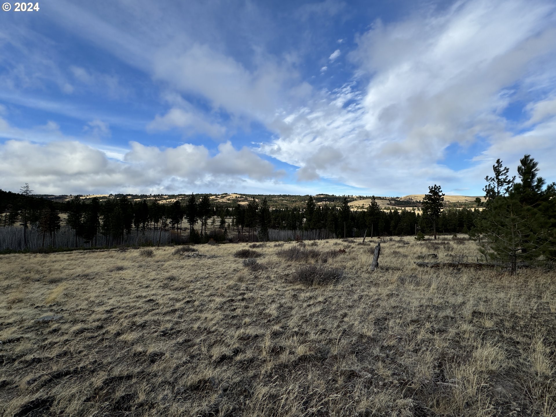 Luther Road Roosevelt, WA 99356 - Photo 23 of 34 Gallery Image 23