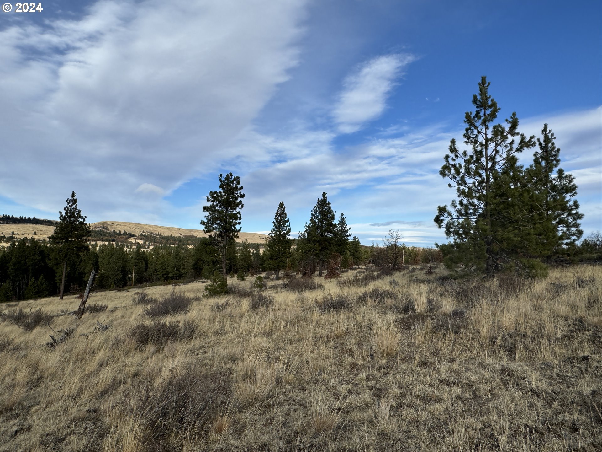 Luther Road Roosevelt, WA 99356 - Photo 28 of 34 Gallery Image 28