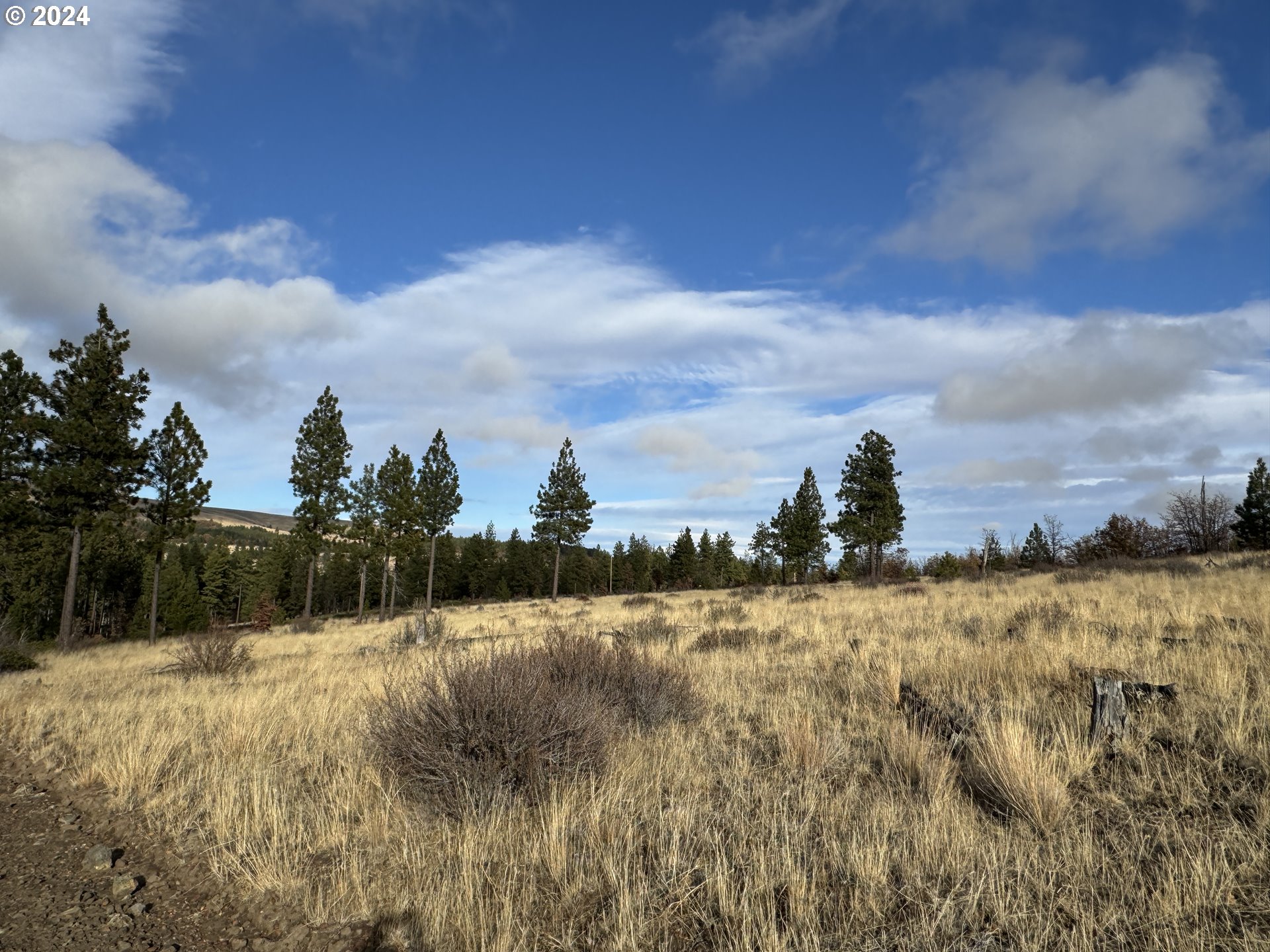 Luther Road Roosevelt, WA 99356 - Photo 4 of 34 Gallery Image 4