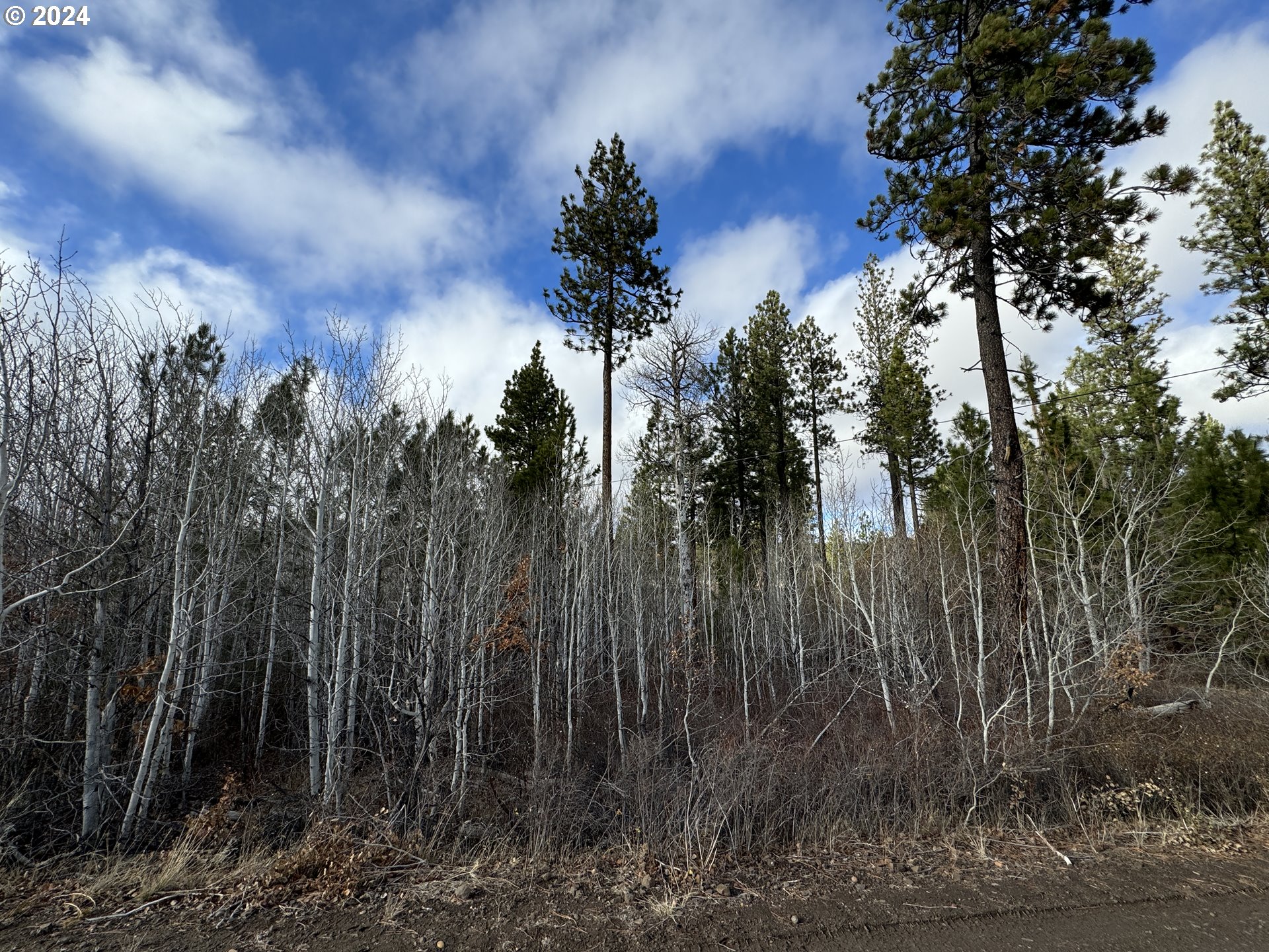 Luther Road Roosevelt, WA 99356 - Photo 6 of 34 Gallery Image 6