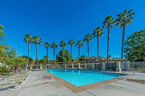 a view of a swimming pool with a bench and trees