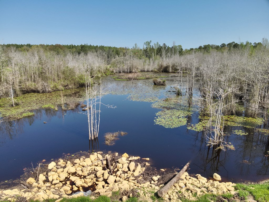 10.3-acres Red Oak Road Florala, AL 36442 - Photo 2 of 13