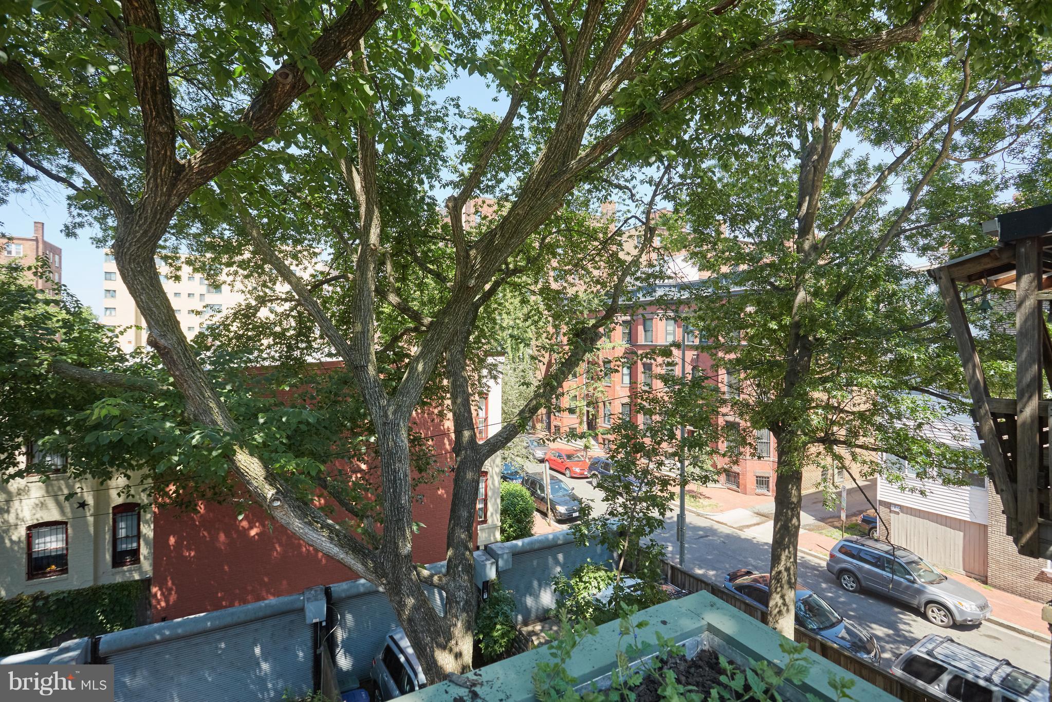 1822 16th Street Northwest Washington, DC 20009 - Photo 24 of 29 an outdoor space with lots of trees