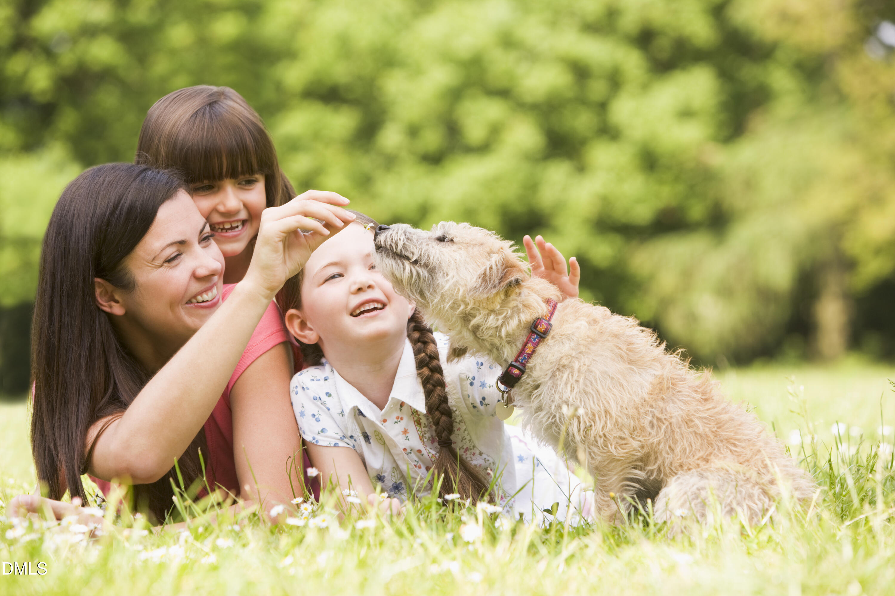605 Hedrick Ridge Road, Unit 305 Cary, NC 27519 - Photo 30 of 40 shutterstock_mom_kids_dog_outdoors_15713