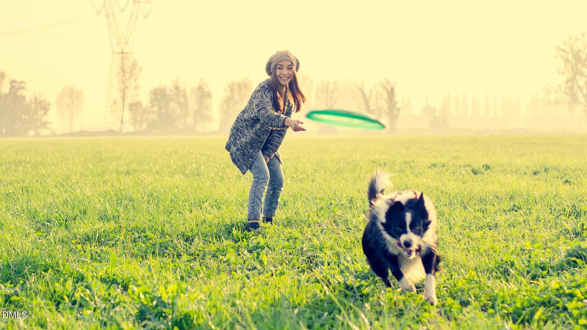 605 Hedrick Ridge Road, Unit 305 Cary, NC 27519 - Photo 33 of 40 CHS_50_Fulton Park_Dog_7_f35